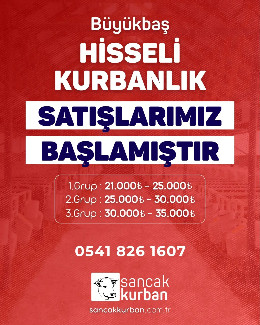 Sancaktepe büyükbaş hisseli kurban kesim ve teslimat