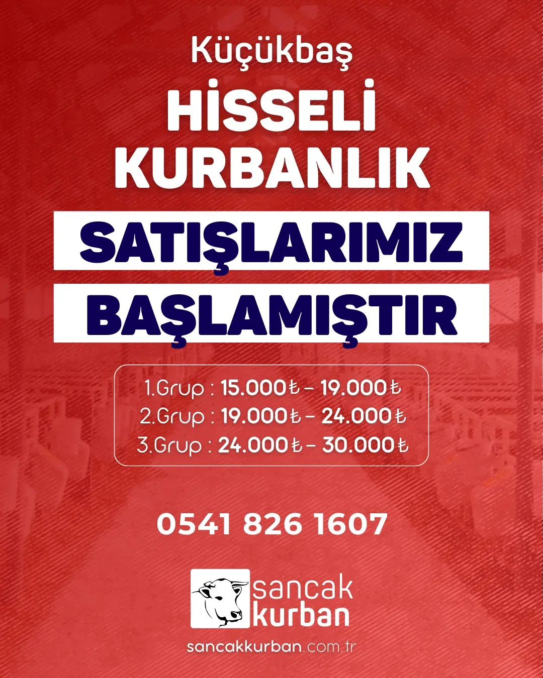 Sancaktepe küçükbaş kurban islami usullere uygun kesim