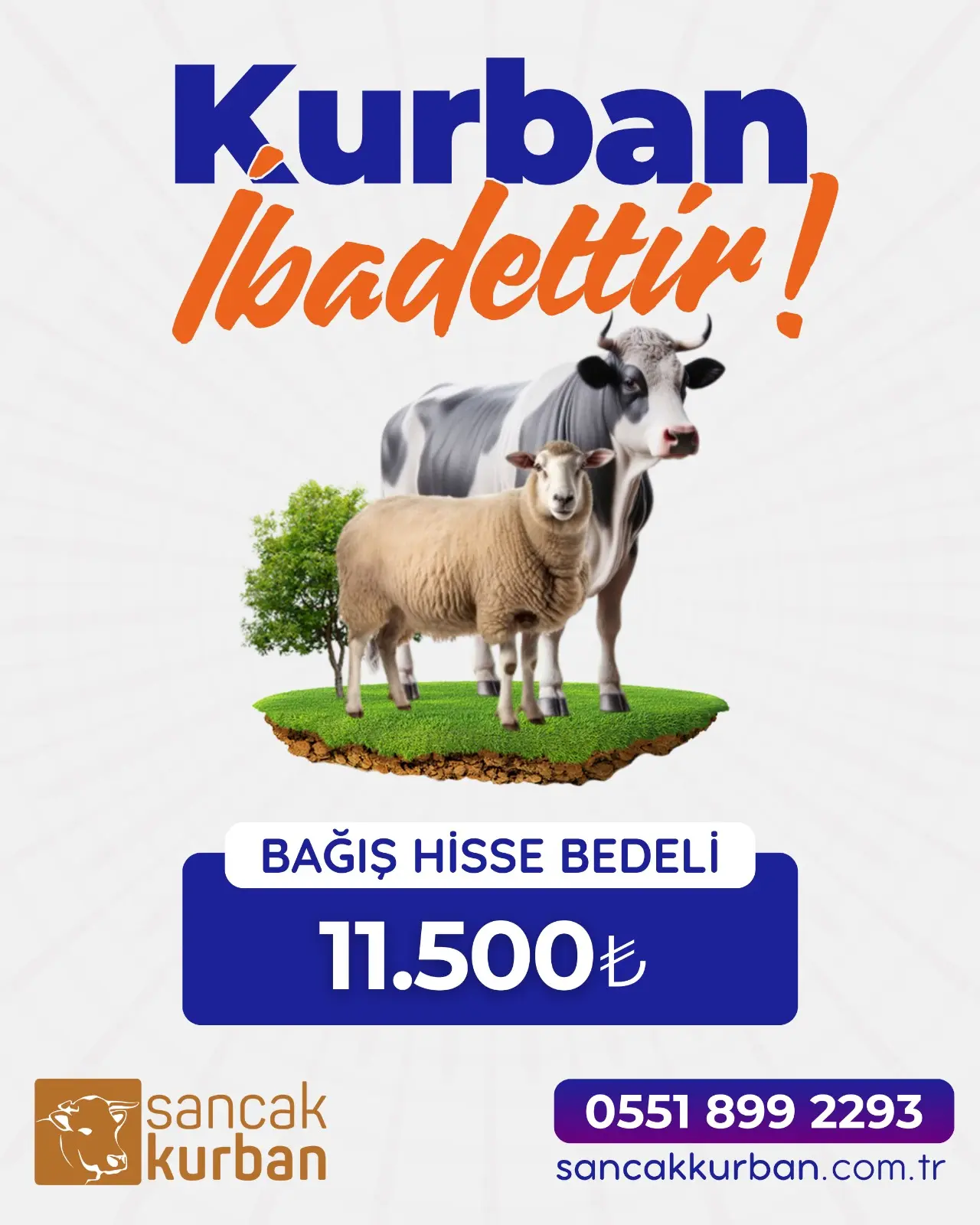 Sancak Kurban bağış, Sancaktepe kesimhane, güvenilir kurban bağışı